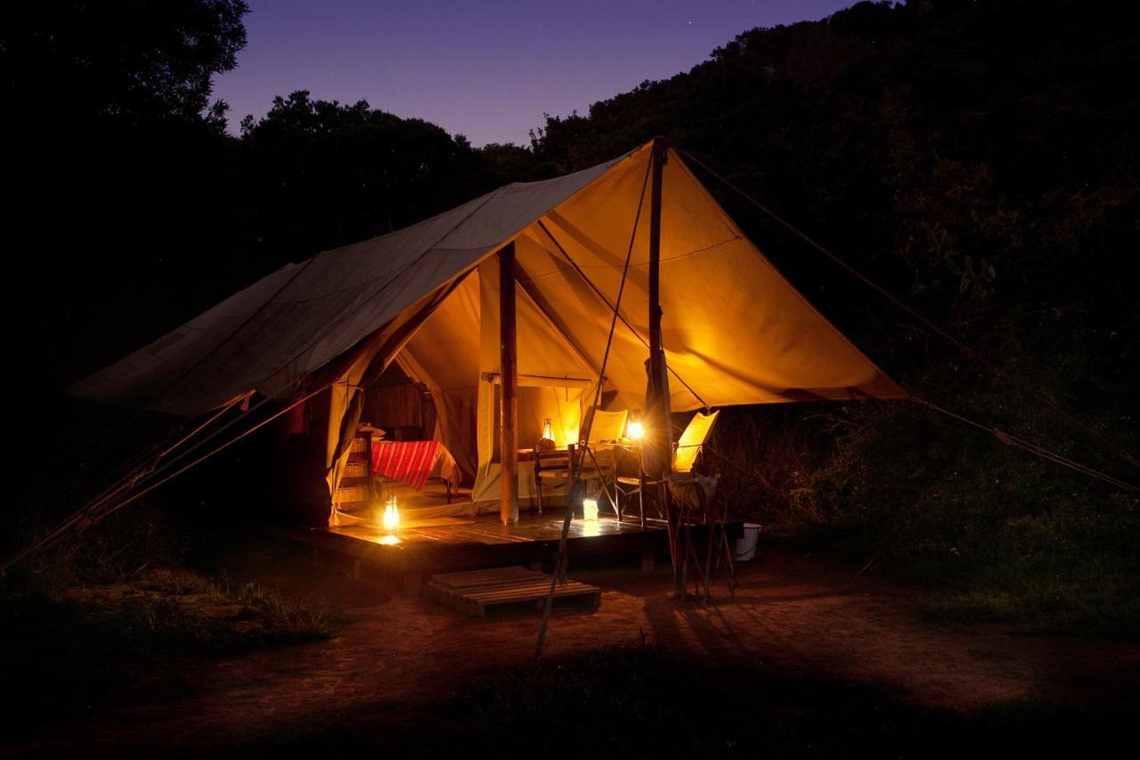 Quatermain'S 1920'S Safari Camp - Заповедник Амакхала Экстерьер фото