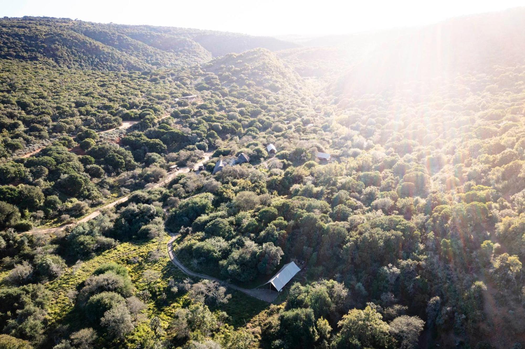 Quatermain'S 1920'S Safari Camp - Заповедник Амакхала Экстерьер фото