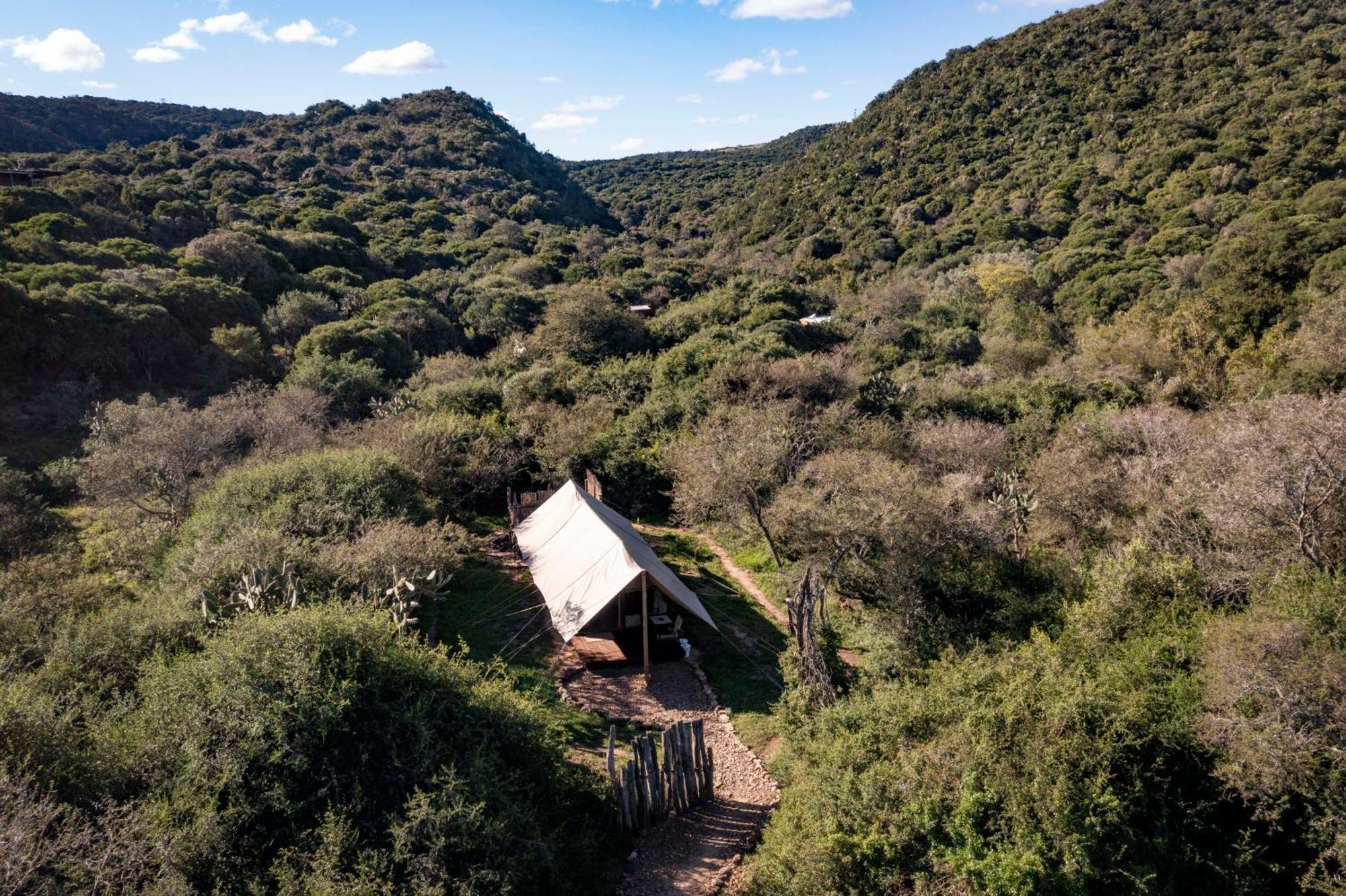 Quatermain'S 1920'S Safari Camp - Заповедник Амакхала Экстерьер фото